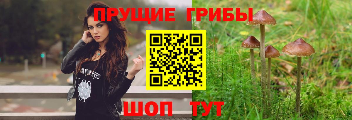 Галлюциногенные грибы мицелий  Псилоцибиновые грибы Magic Shrooms  Вход с VPN  Южноуральск 
